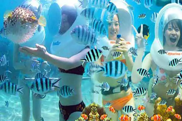 water sport packages B